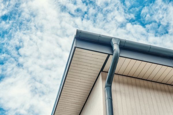 Gutter Fascia Repair in Palm Harbor