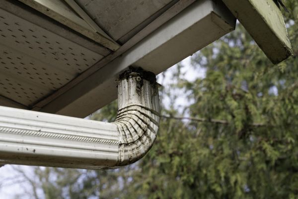Cost of Roof Drain Replacement in Palm Harbor