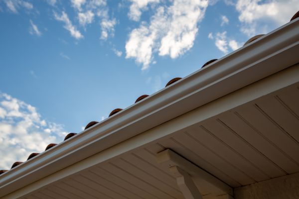 Cost of K Style Gutter Installation in Palm Harbor