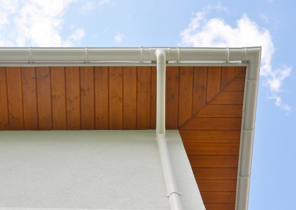 Cost of Downspout Diverter Service in Palm Harbor