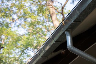 Gutter Cleaning Access Points